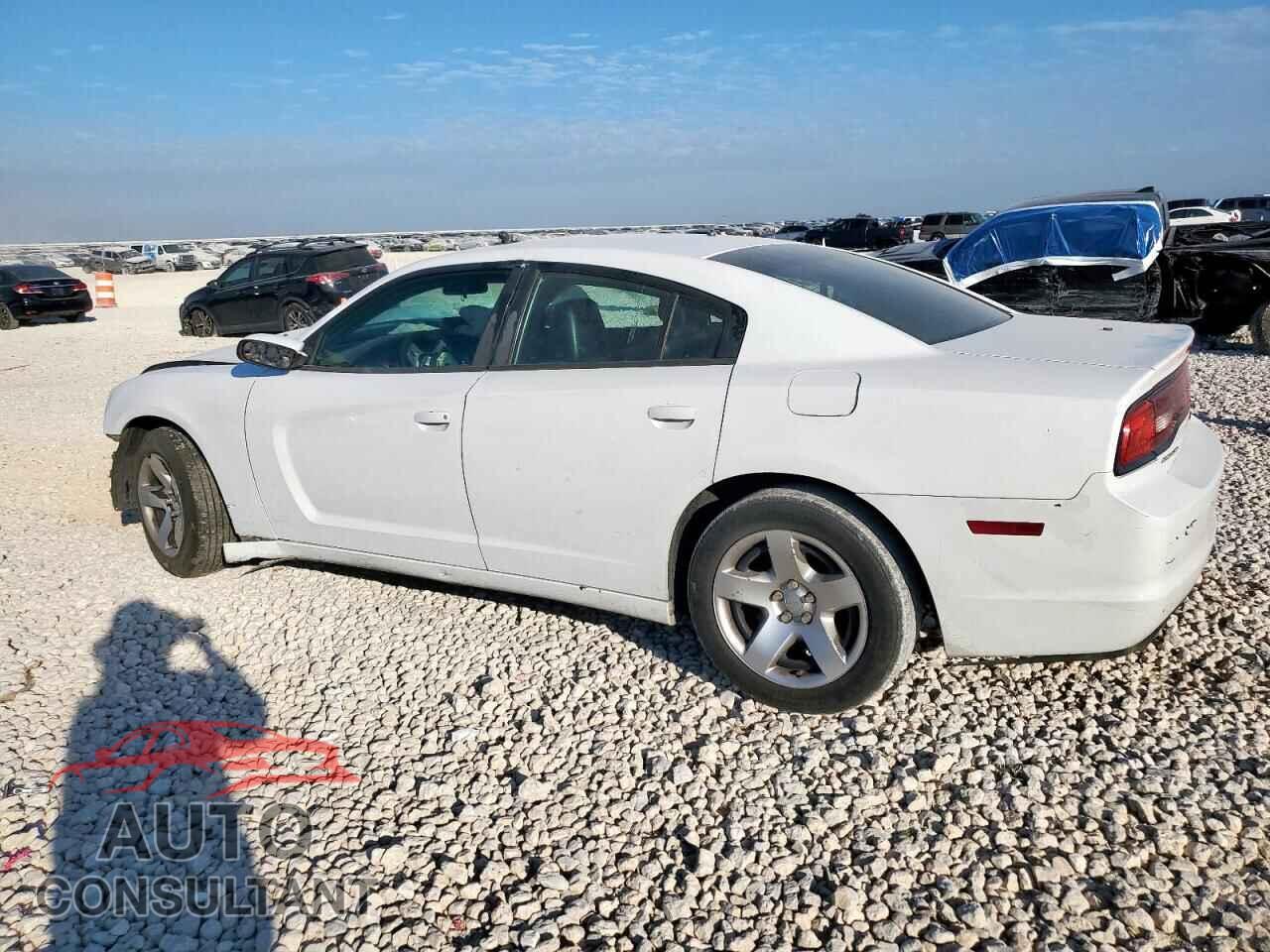 DODGE CHARGER 2013 - 2C3CDXAG5DH719644