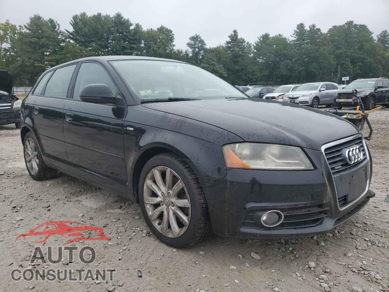 AUDI A3 2010 - WAUDFAFM9AA004489