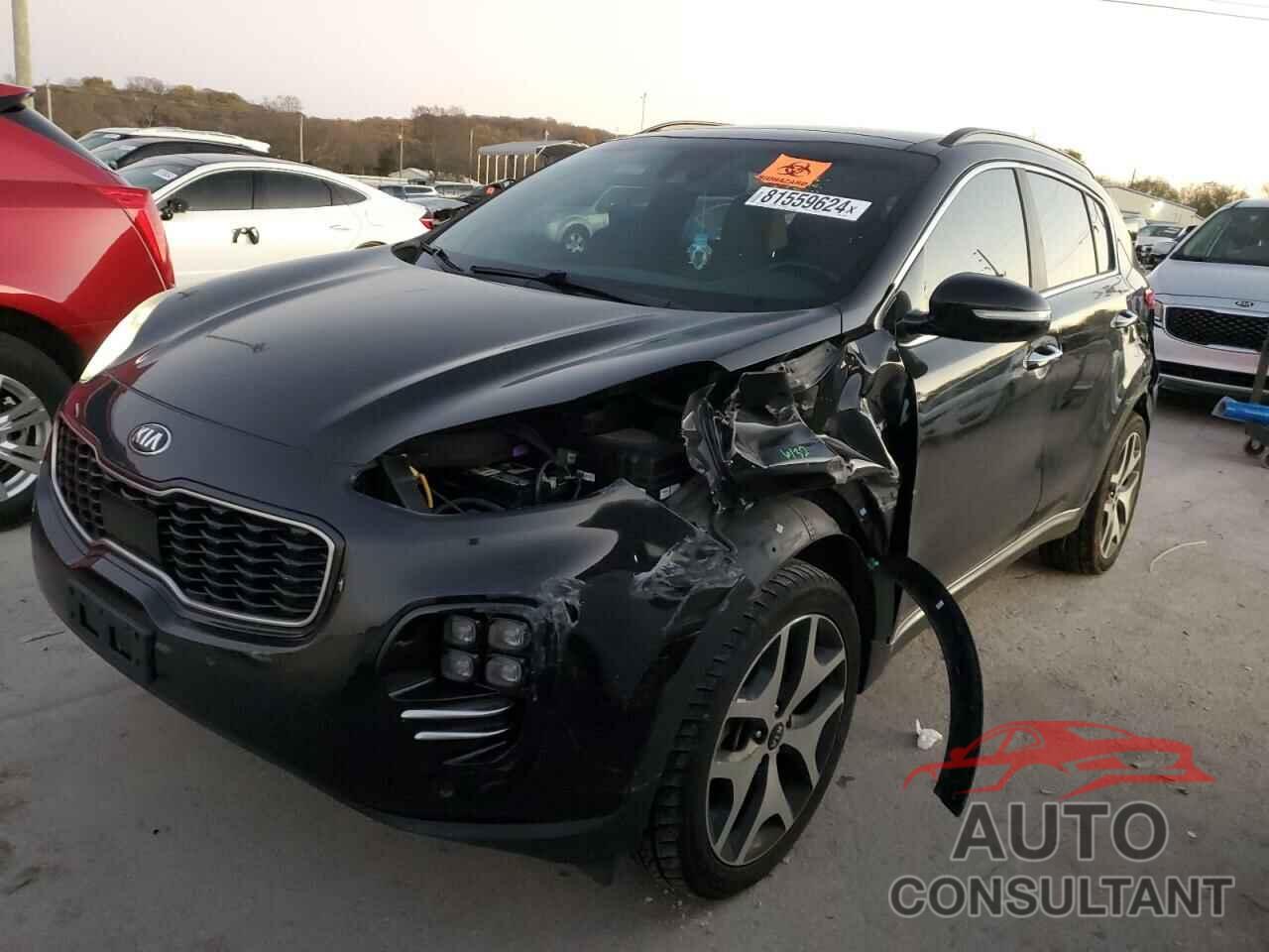 KIA SPORTAGE 2018 - KNDPRCA64J7364939