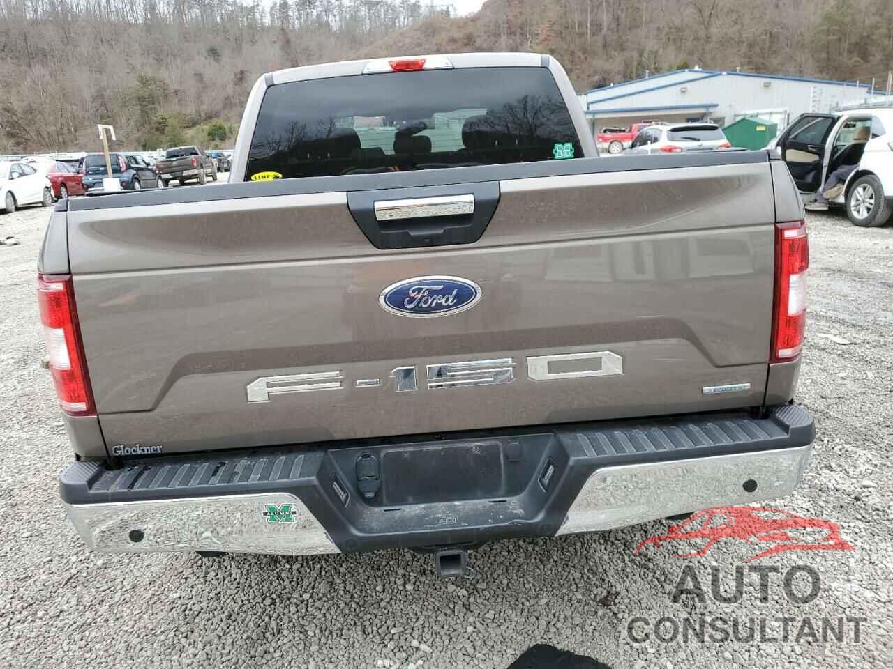 FORD F-150 2020 - 1FTEW1EP5LFA92837