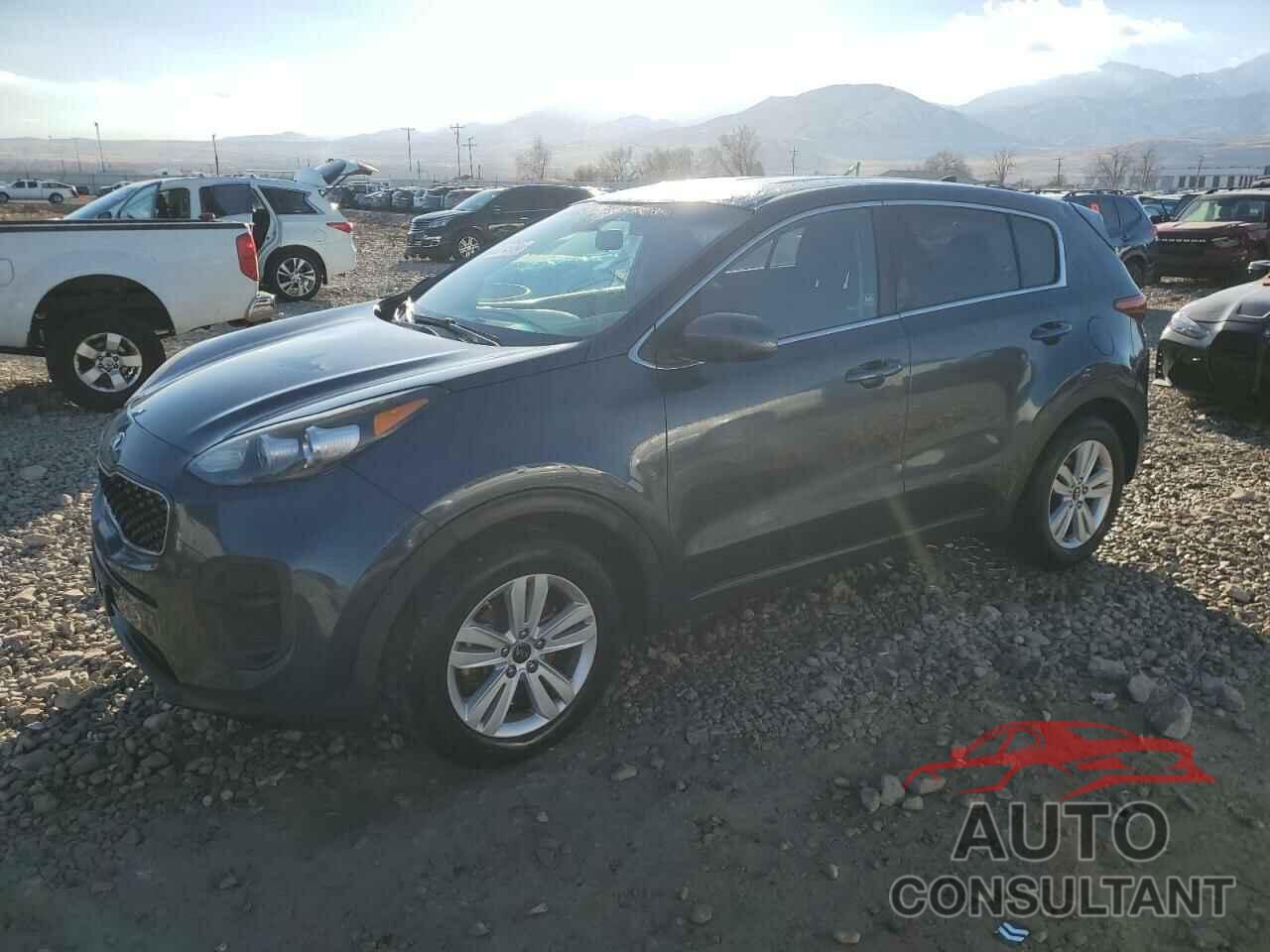 KIA SPORTAGE 2017 - KNDPM3AC7H7155399