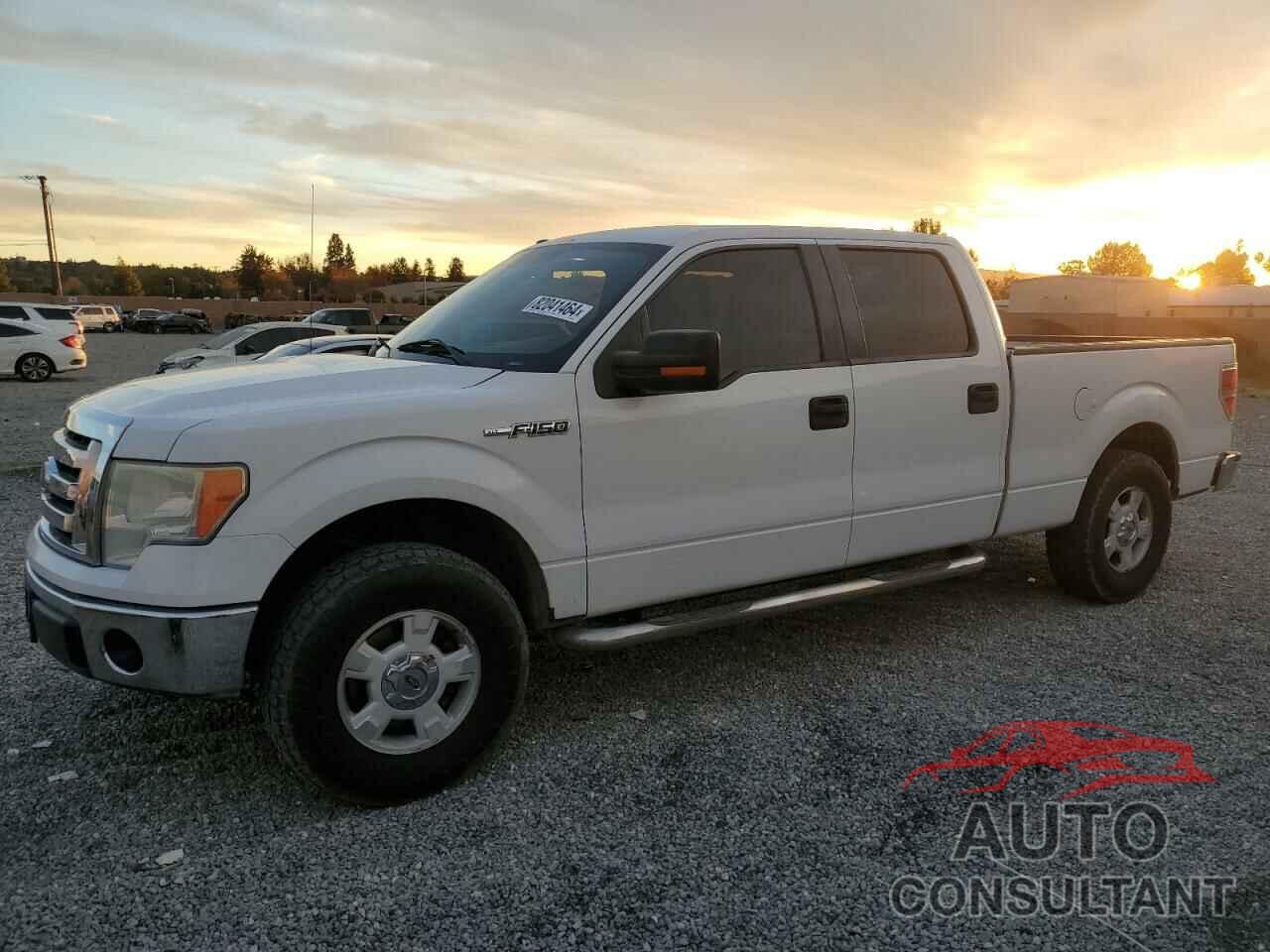 FORD F-150 2010 - 1FTFW1CV2AFB36103