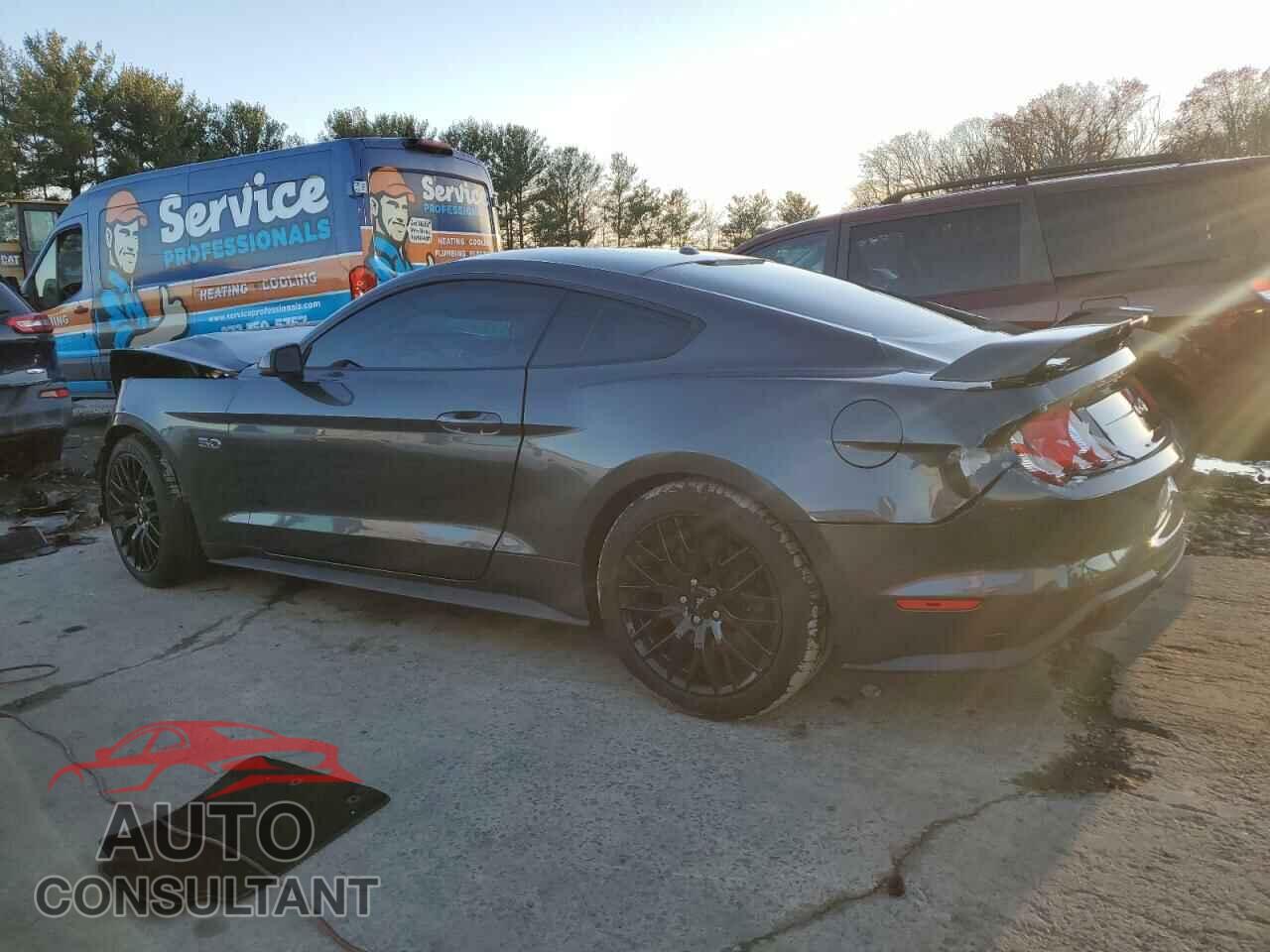 FORD MUSTANG 2019 - 1FA6P8CF2K5203097