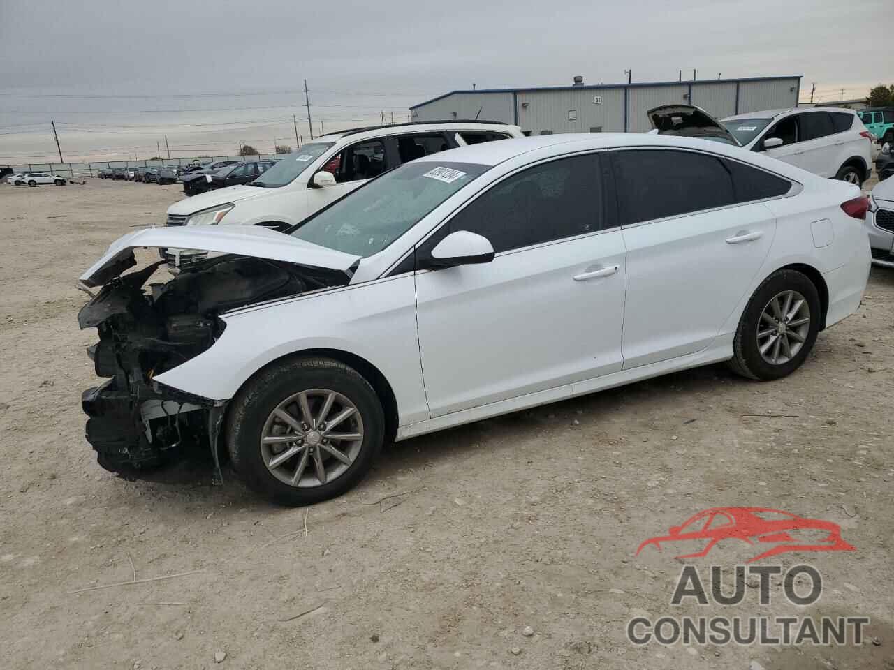 HYUNDAI SONATA 2019 - 5NPE24AF4KH774624