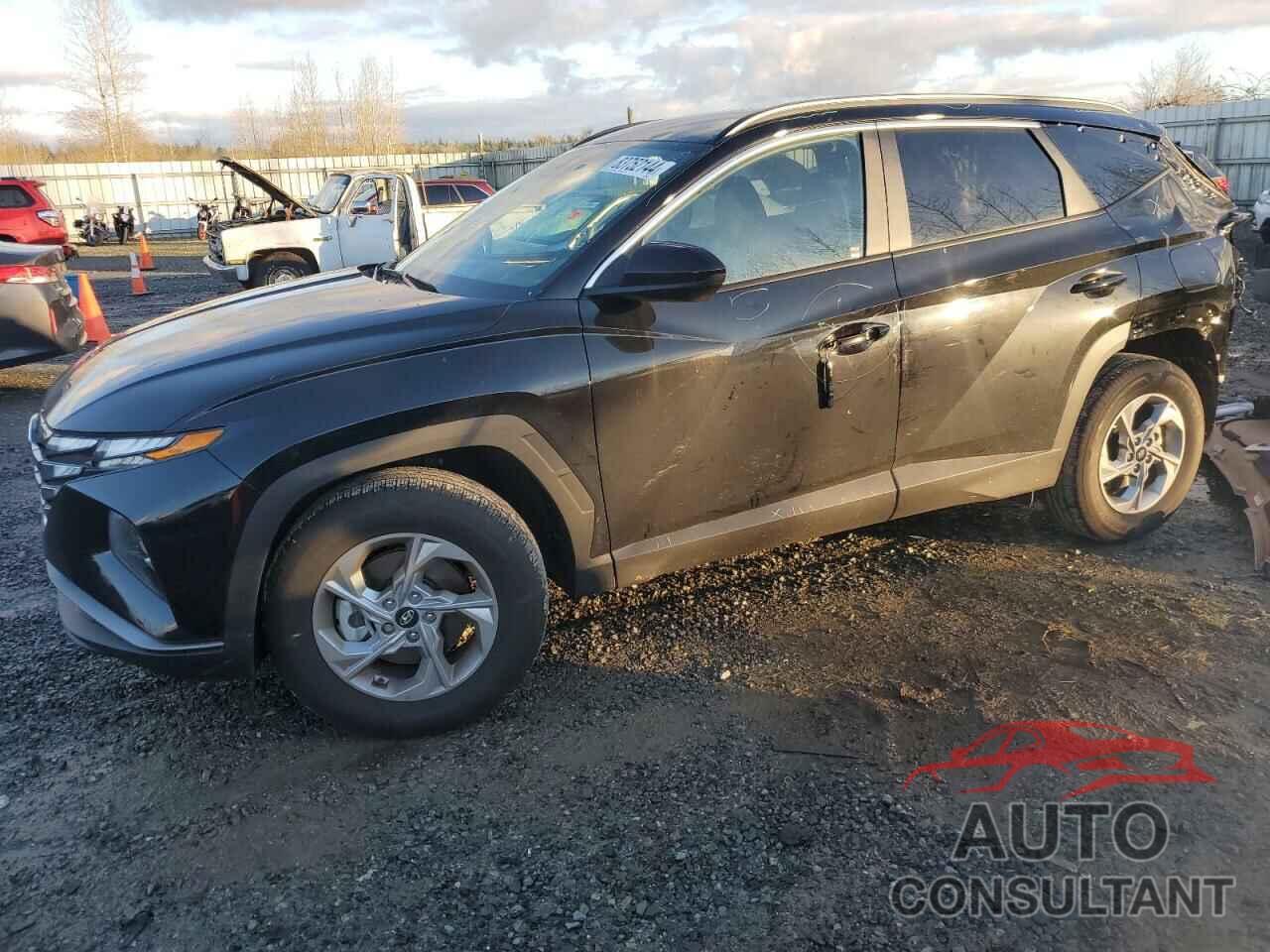 HYUNDAI TUCSON 2024 - 5NMJBCDE9RH400545