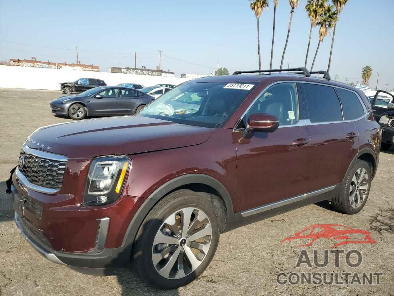 KIA TELLURIDE 2021 - 5XYP34HC7MG179097