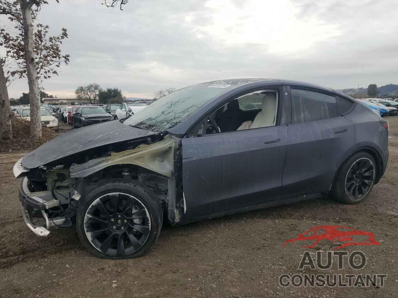 TESLA MODEL Y 2023 - 7SAYGDEE7PF747104