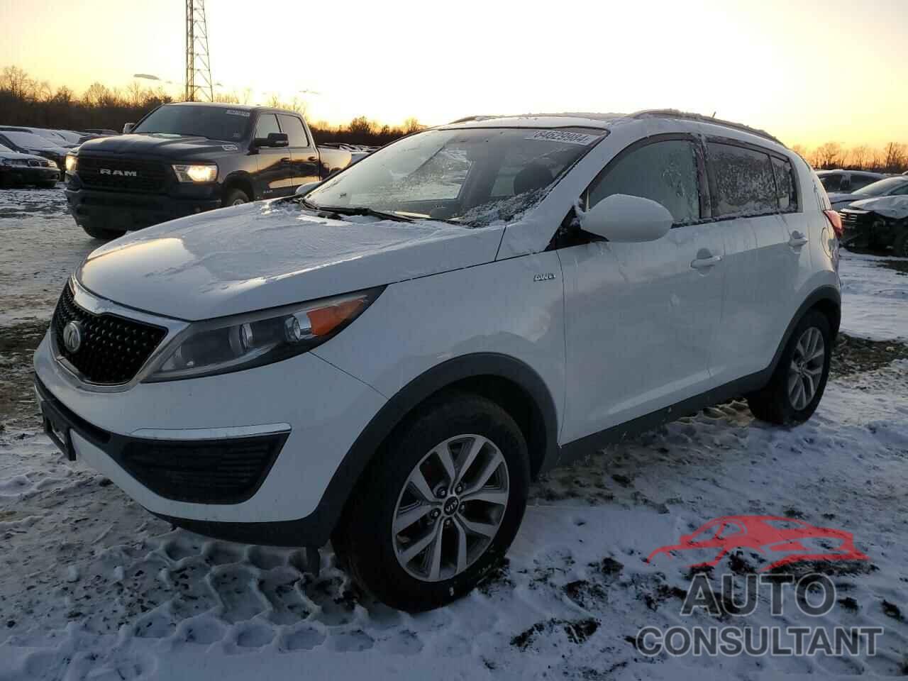 KIA SPORTAGE 2016 - KNDPBCAC8G7833873