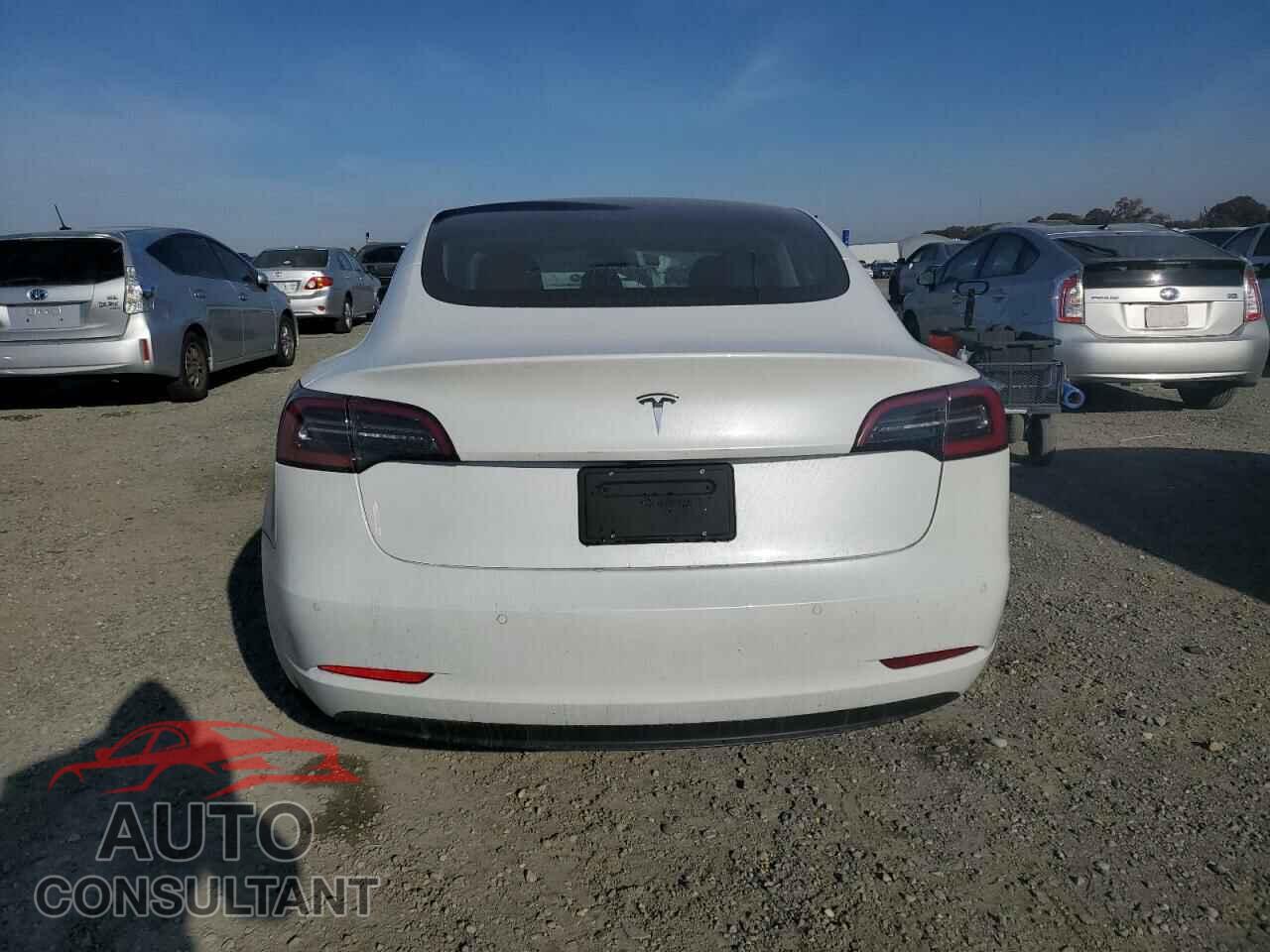 TESLA MODEL 3 2019 - 5YJ3E1EA1KF476462