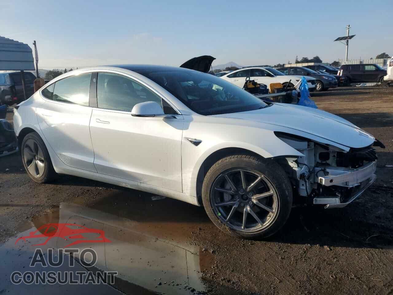 TESLA MODEL 3 2019 - 5YJ3E1EB1KF511882