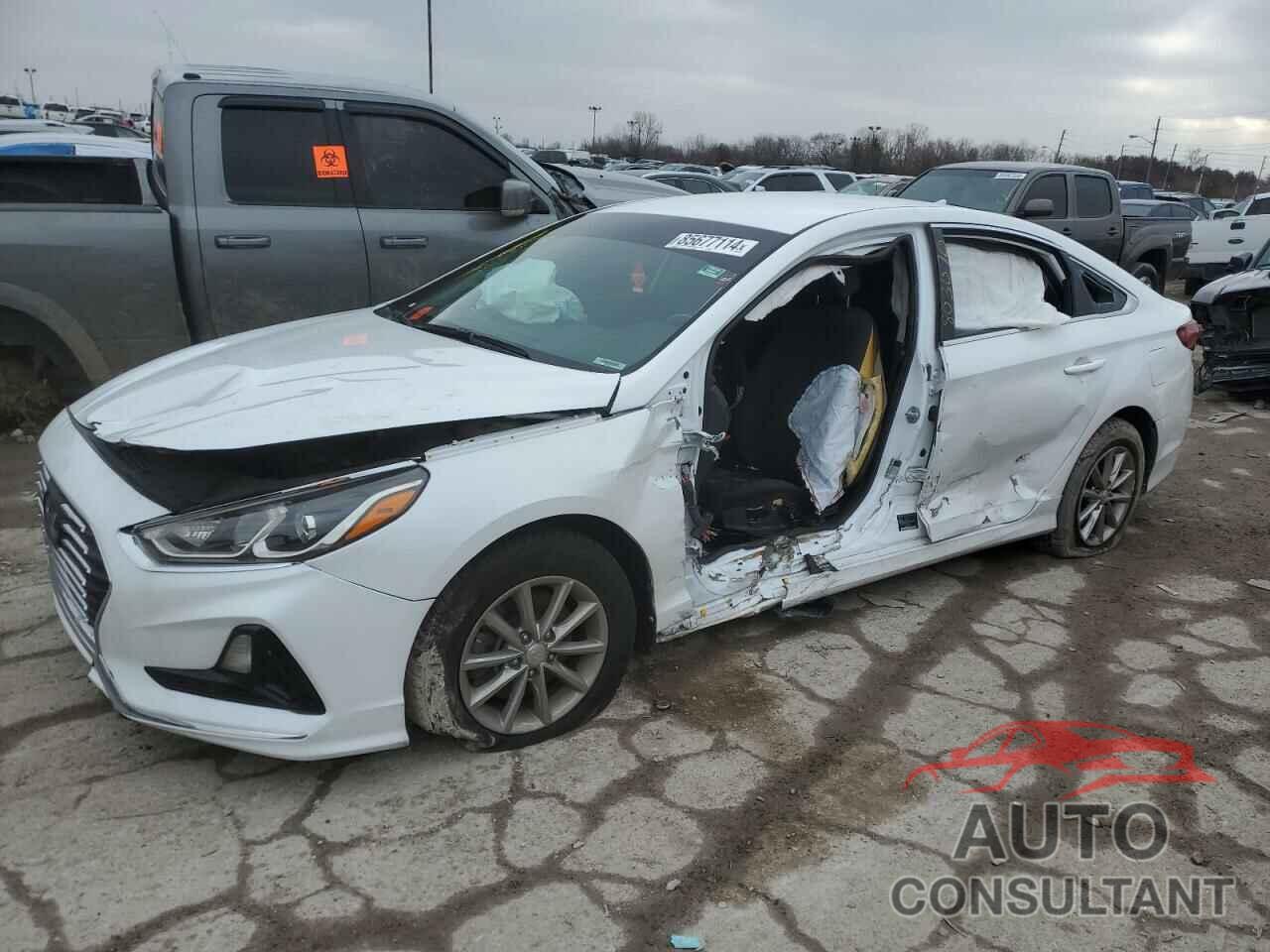HYUNDAI SONATA 2019 - 5NPE24AF2KH803070