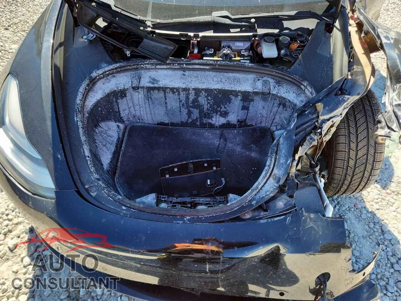 TESLA MODEL 3 2019 - 5YJ3E1EB7KF197039