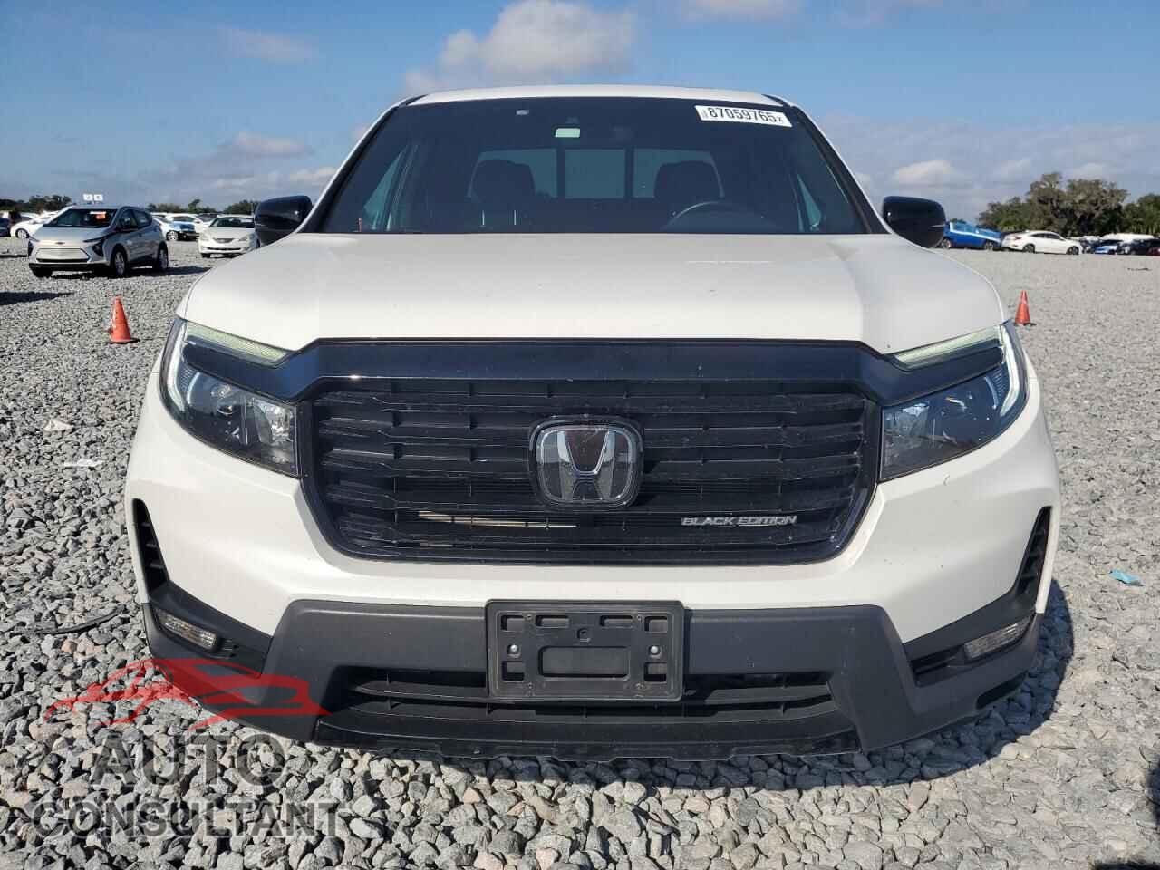HONDA RIDGELINE 2021 - 5FPYK3F81MB018341
