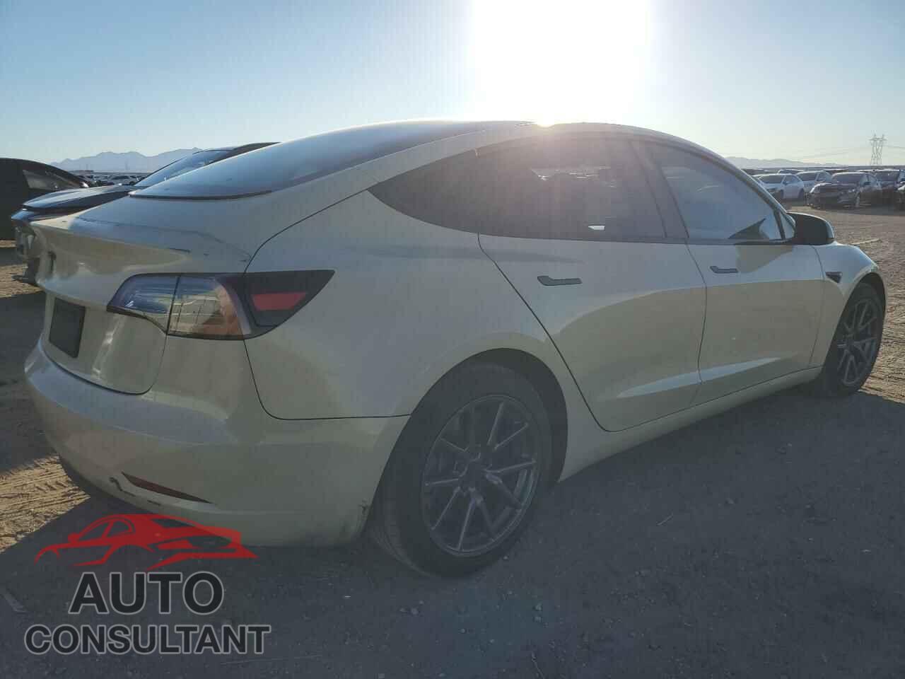 TESLA MODEL 3 2019 - 5YJ3E1EB5KF194785