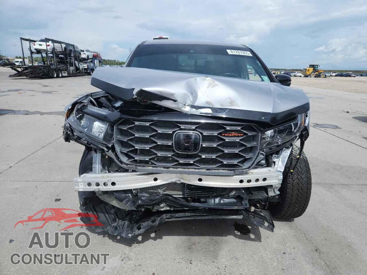 HONDA RIDGELINE 2024 - 5FPYK3F63RB007735