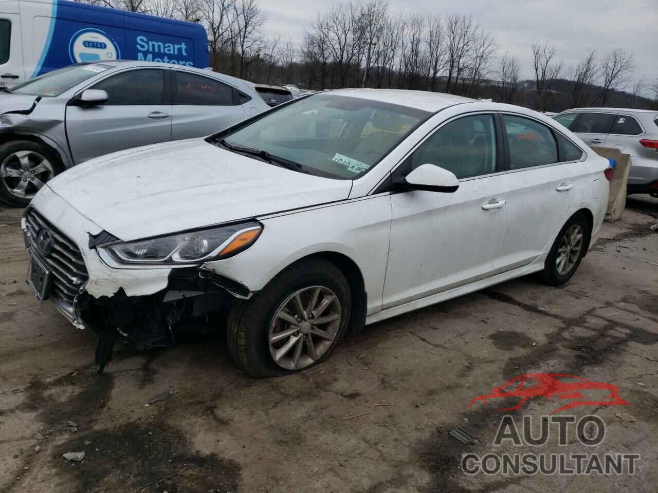 HYUNDAI SONATA 2019 - 5NPE24AF8KH798361