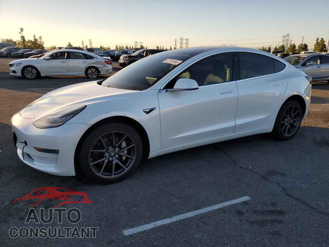 TESLA MODEL 3 2019 - 5YJ3E1EA9KF345067