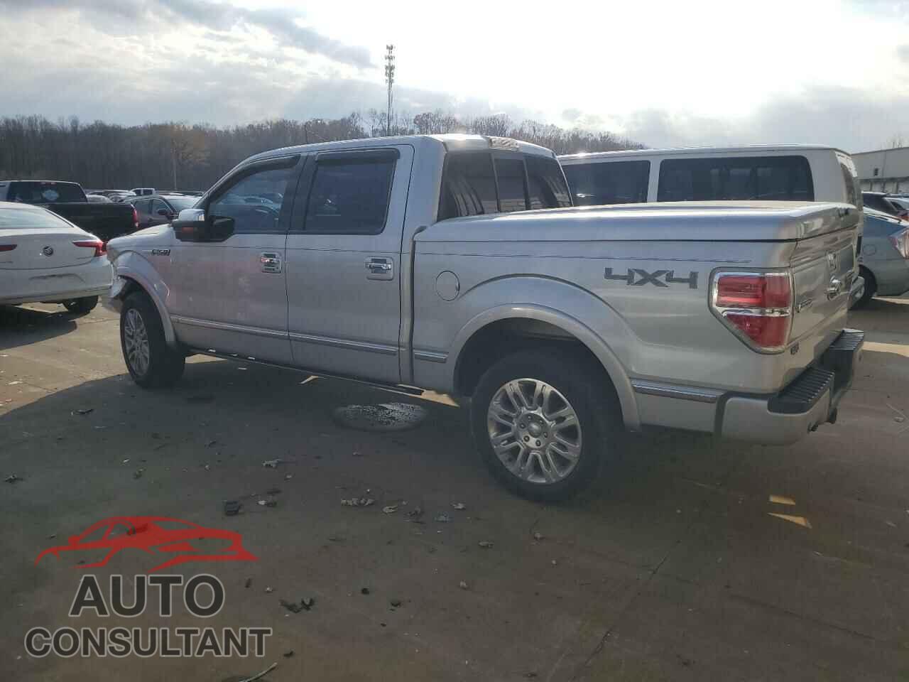 FORD F-150 2009 - 1FTPW14V89FA69733