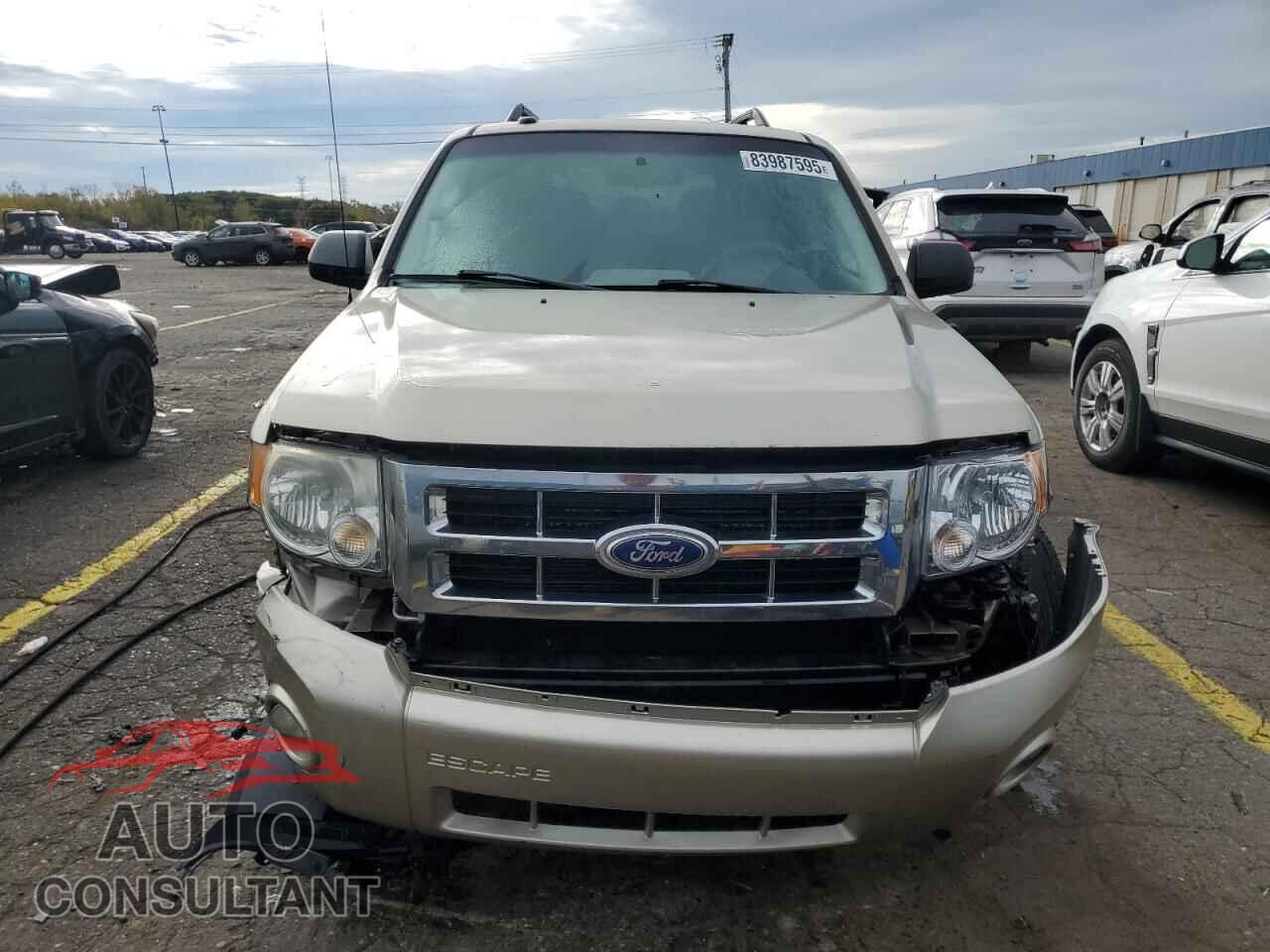 FORD ESCAPE 2010 - 1FMCU0D73AKC82855