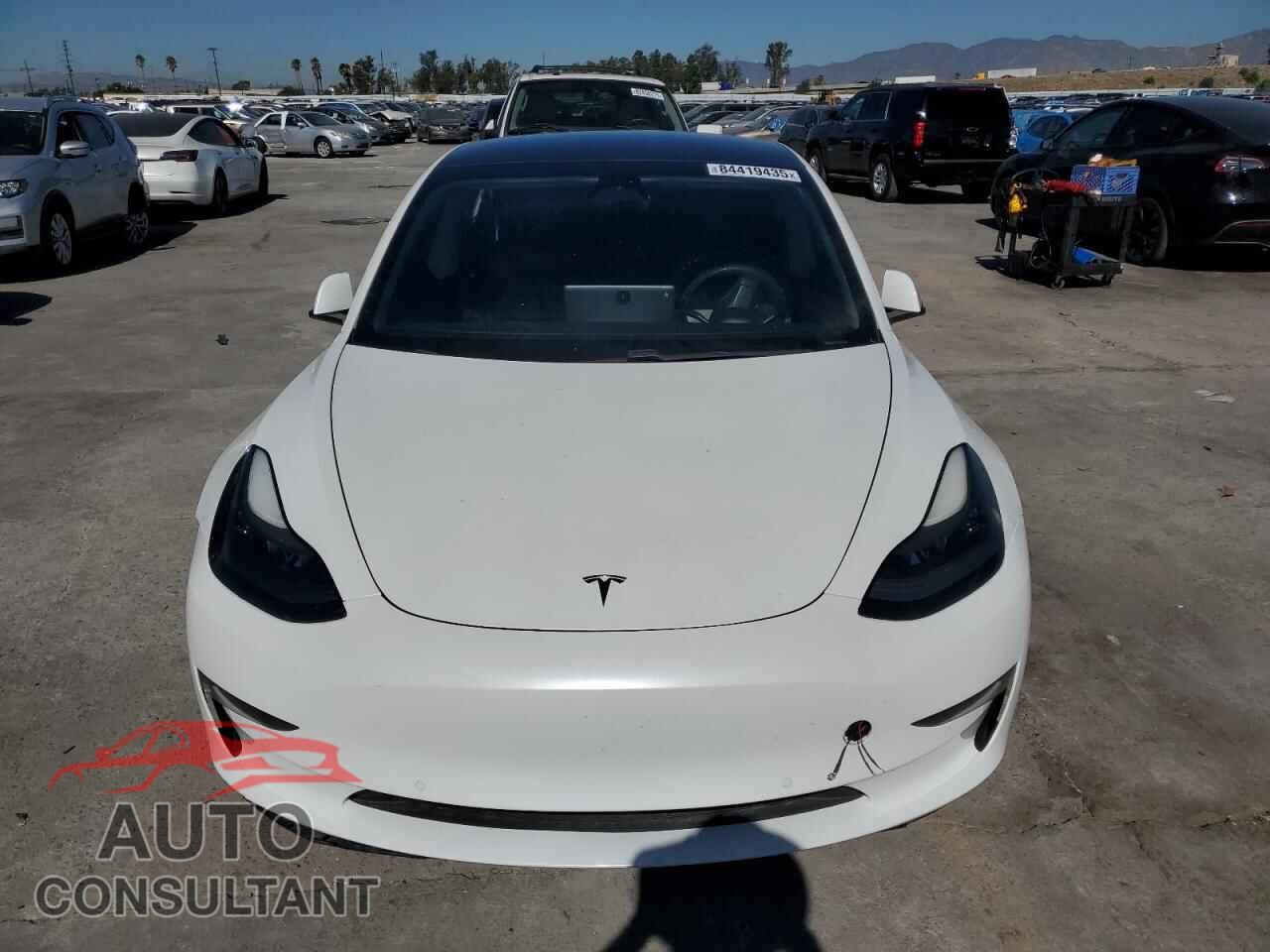 TESLA MODEL 3 2021 - 5YJ3E1EA5MF068372