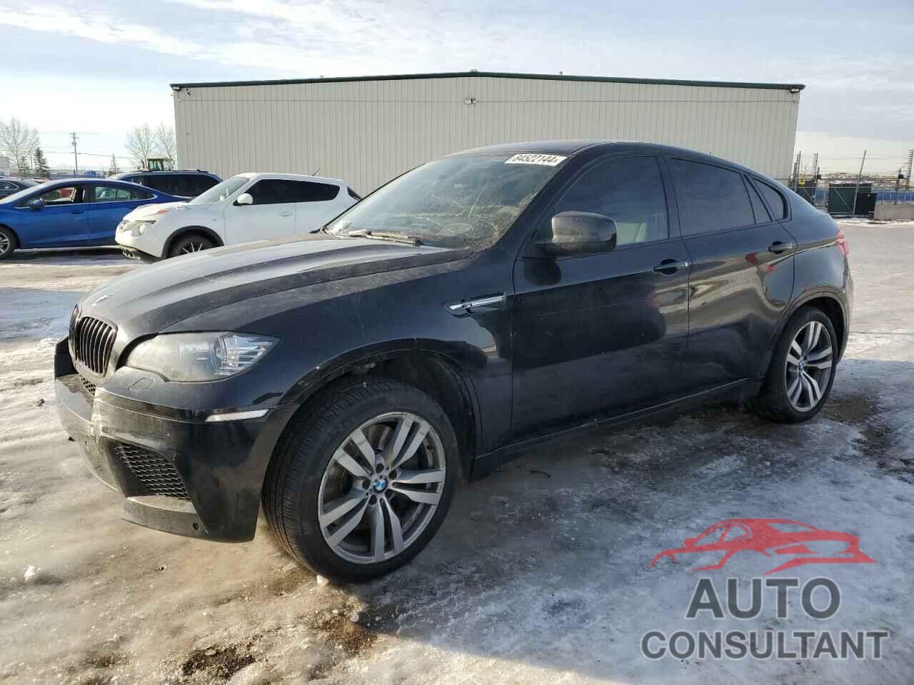 BMW X6 2010 - 5YMGZ0C57ALK13322