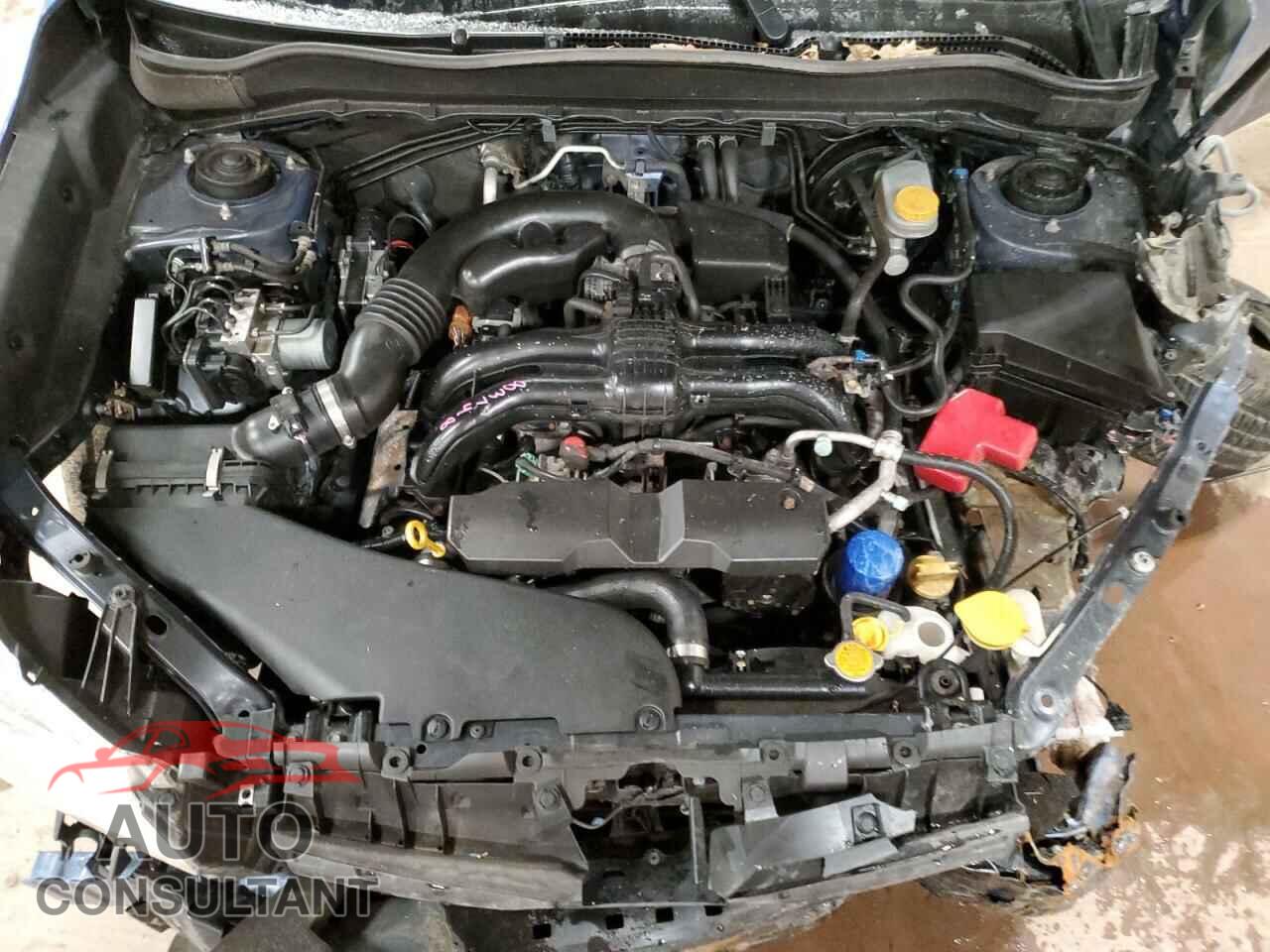 SUBARU FORESTER 2016 - JF2SJAGC8GH560745