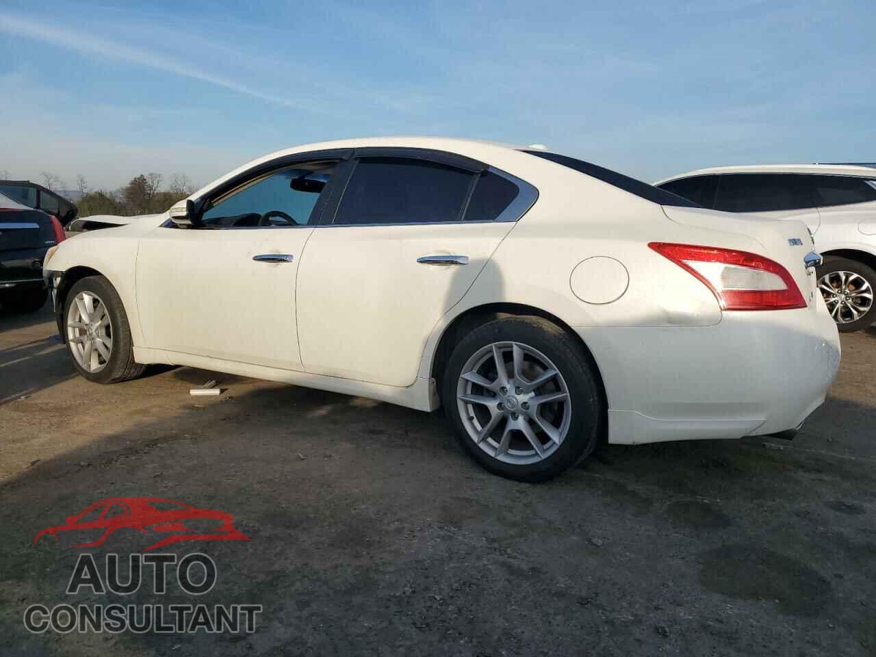 NISSAN MAXIMA 2011 - 1N4AA5AP1BC821111