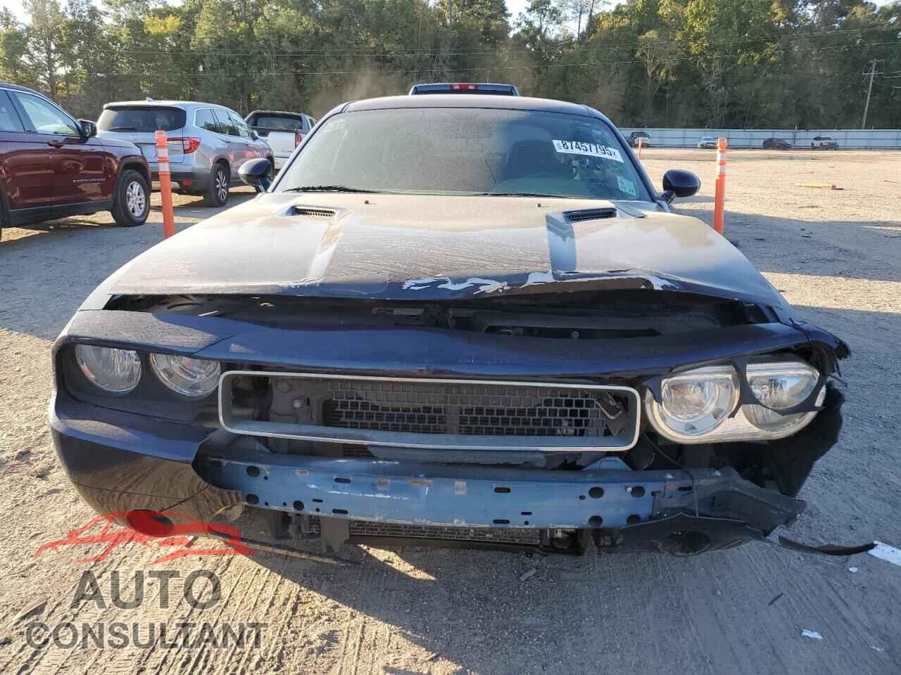 DODGE CHALLENGER 2014 - 2C3CDYAGXEH101307