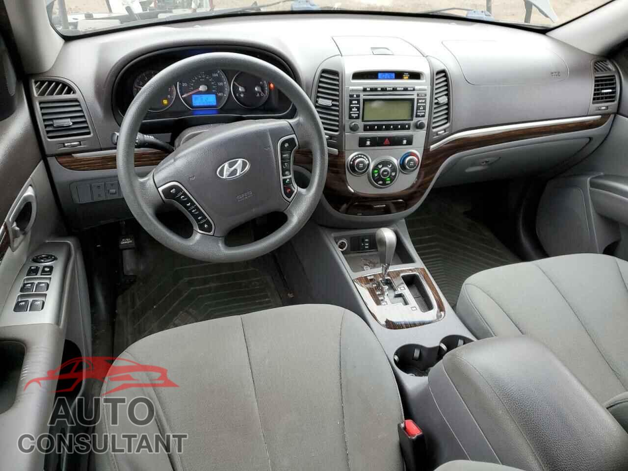 HYUNDAI SANTA FE 2010 - 5NMSGDAB2AH401577