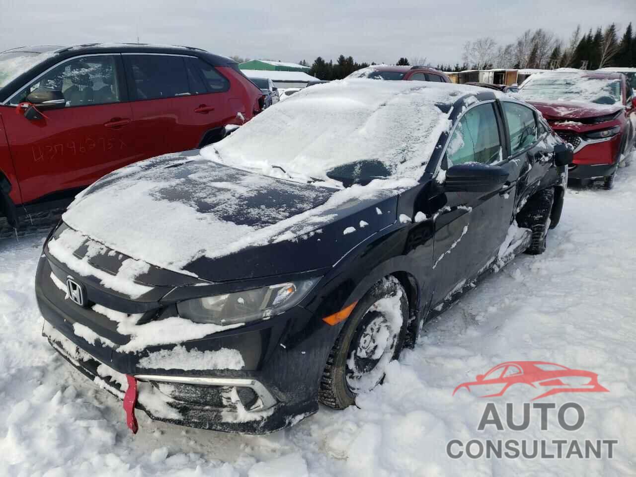 HONDA CIVIC 2020 - 2HGFC2E51LH013164
