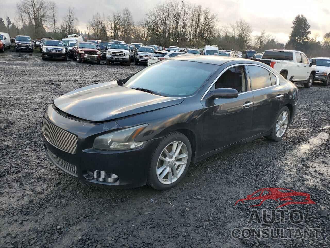 NISSAN MAXIMA 2013 - 1N4AA5AP9DC829041