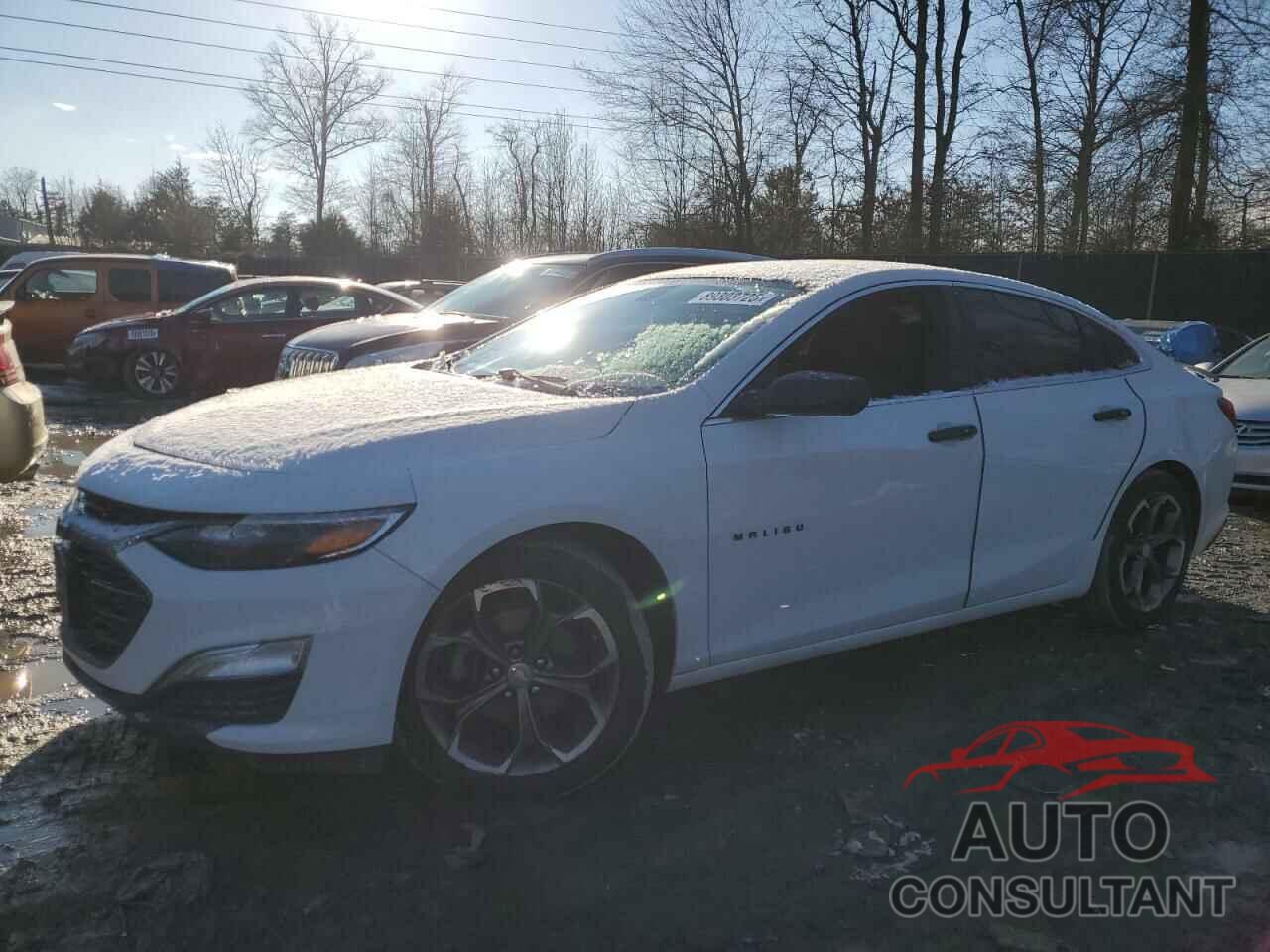 CHEVROLET MALIBU 2019 - 1G1ZG5ST7KF228528