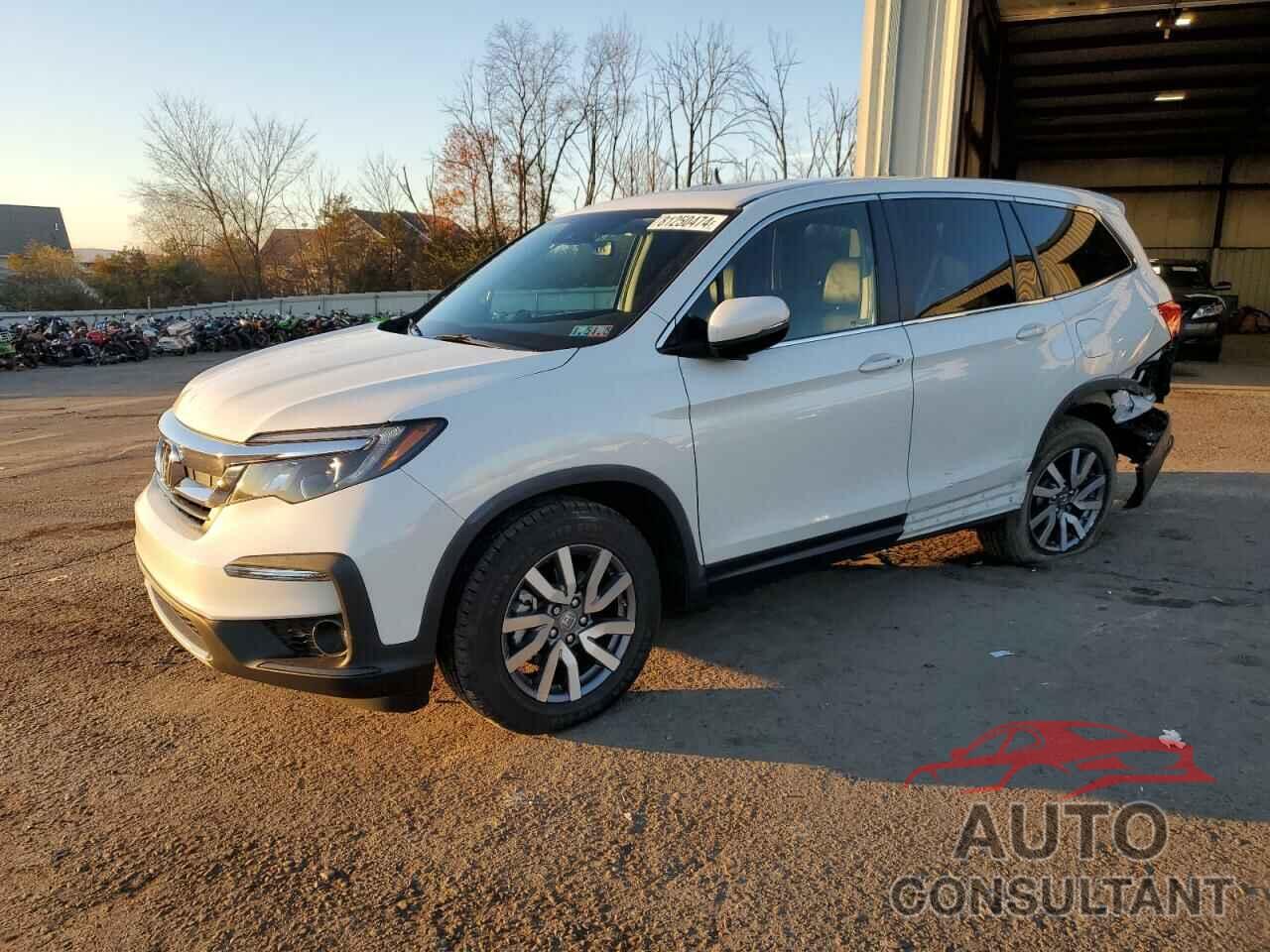HONDA PILOT 2021 - 5FNYF6H59MB063156