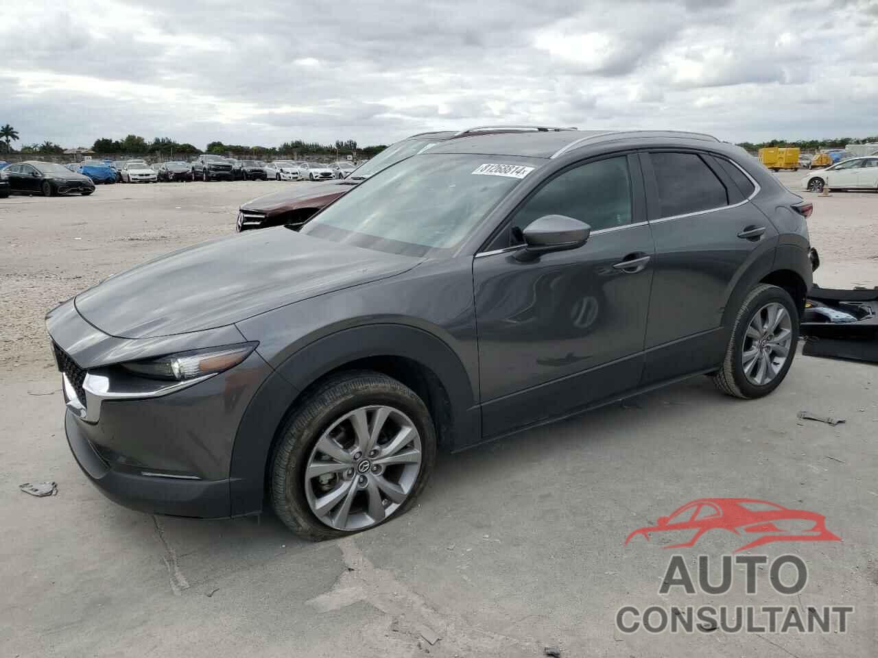 MAZDA CX30 2023 - 3MVDMBCM4PM564756