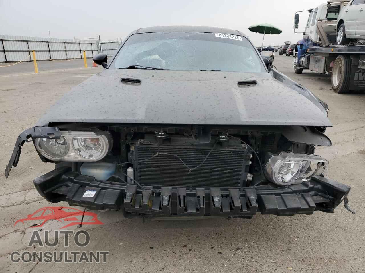 DODGE CHALLENGER 2013 - 2C3CDYBTXDH724341