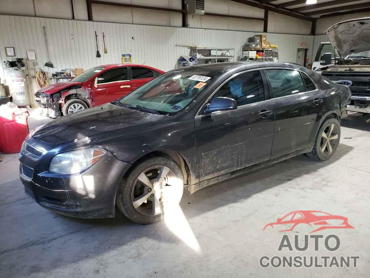 CHEVROLET MALIBU 2010 - 1G1ZA5E07AF285359