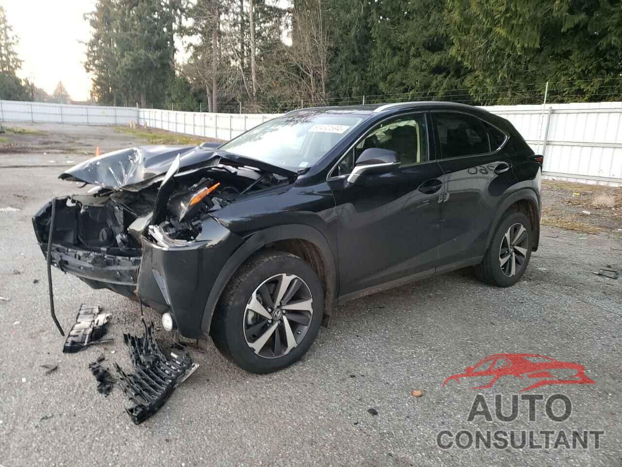 LEXUS NX 2021 - JTJGARDZXM5029648