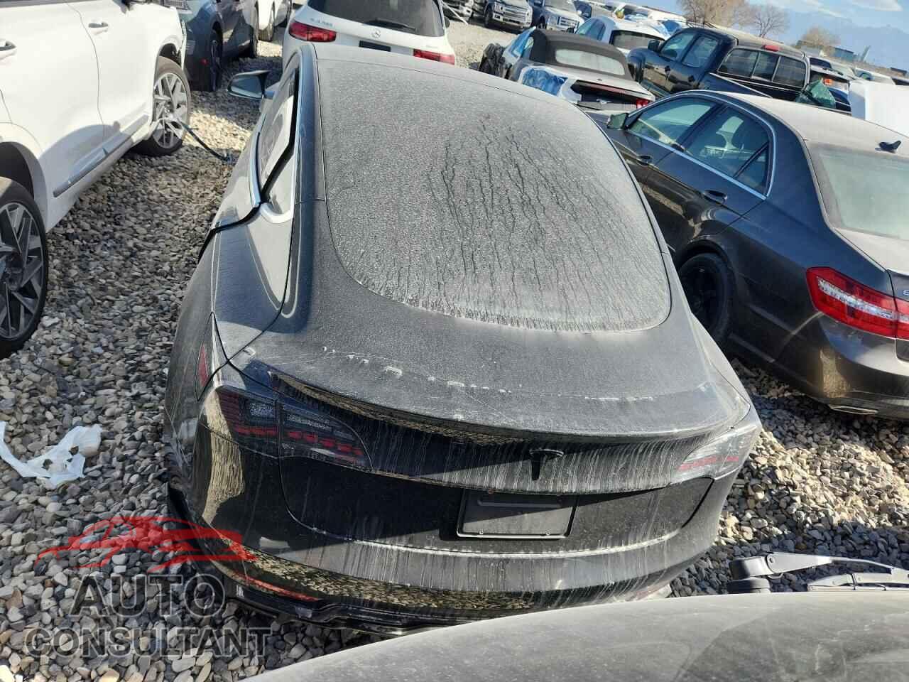 TESLA MODEL 3 2019 - 5YJ3E1EA6KF399359