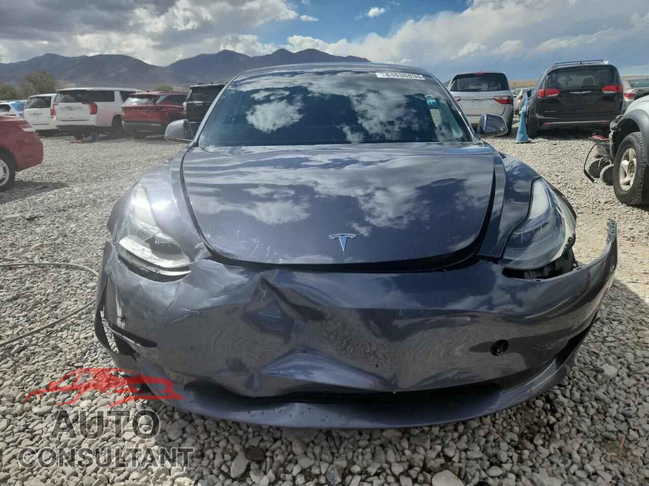 TESLA MODEL 3 2022 - 5YJ3E1EB9NF144993