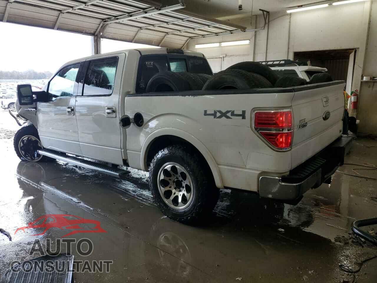 FORD F-150 2010 - 1FTFW1EV3AFC56313