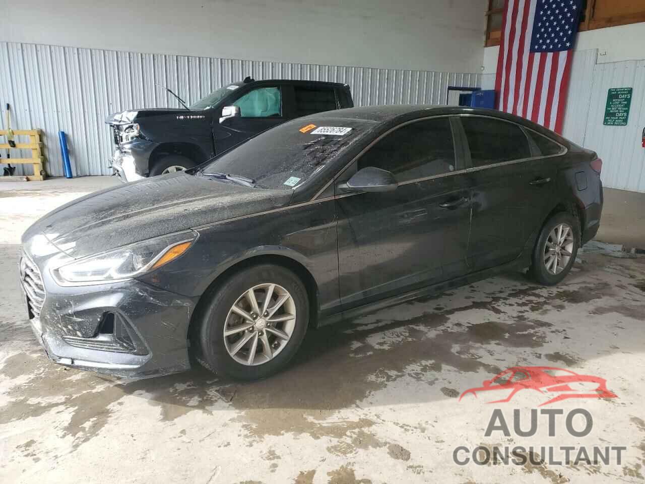 HYUNDAI SONATA 2019 - 5NPE24AF5KH749585