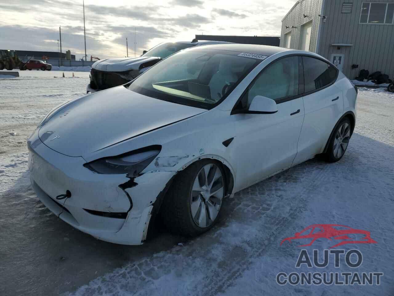 TESLA MODEL Y 2022 - 7SAYGDEE8NF549841