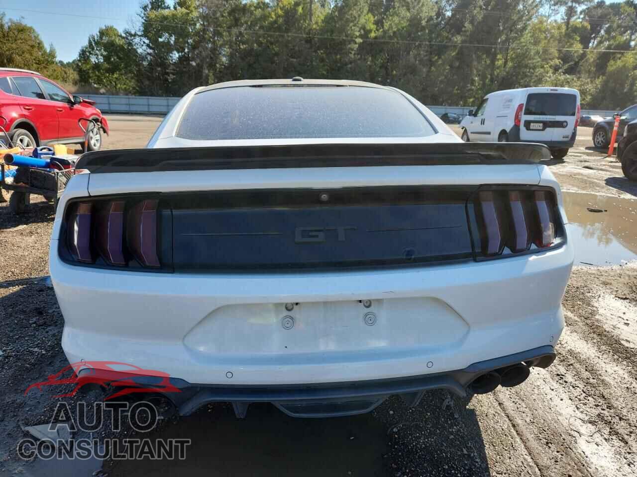 FORD MUSTANG 2019 - 1FA6P8CF0K5151663