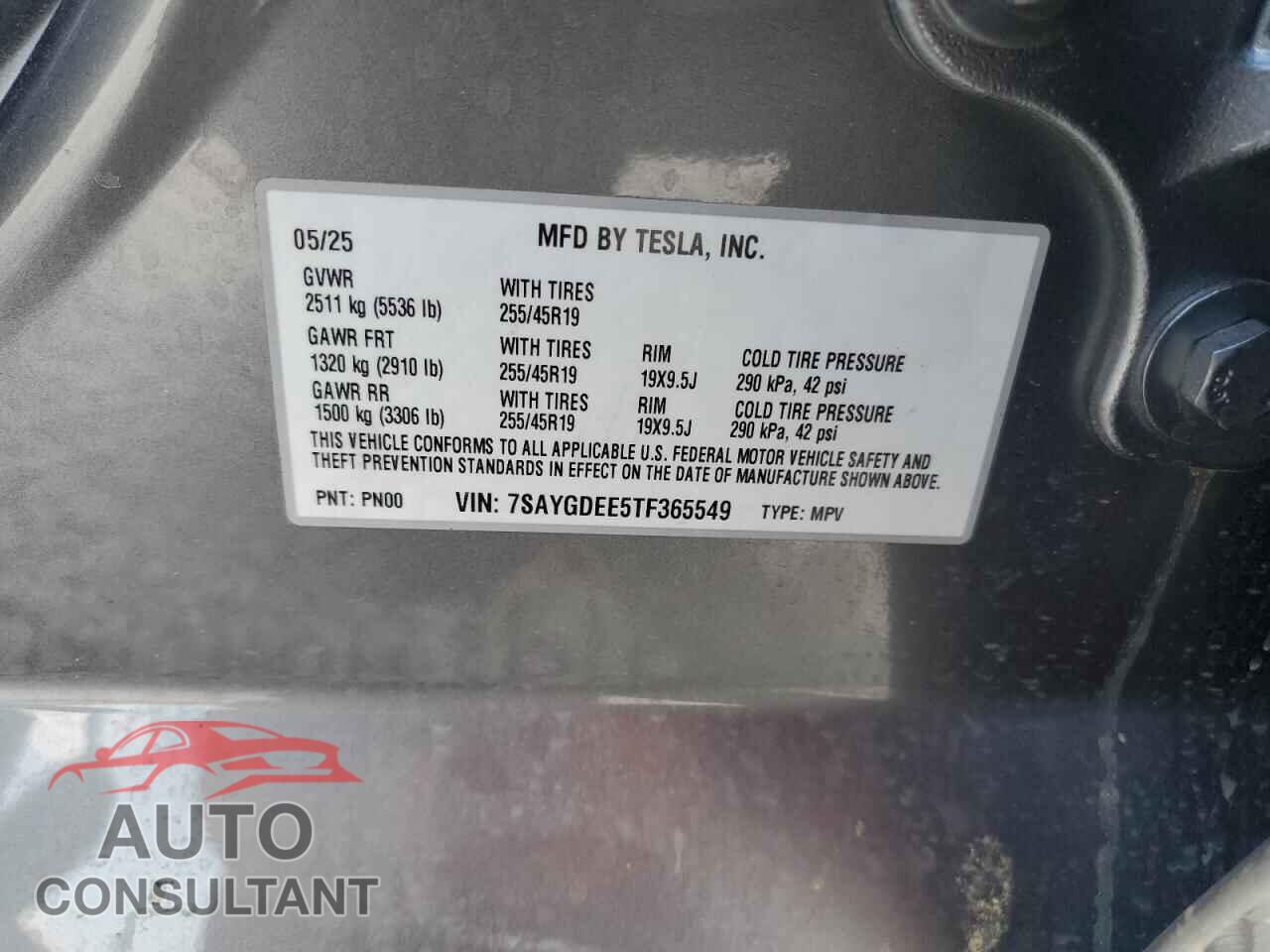 TESLA MODEL Y 2026 - 7SAYGDEE5TF365549