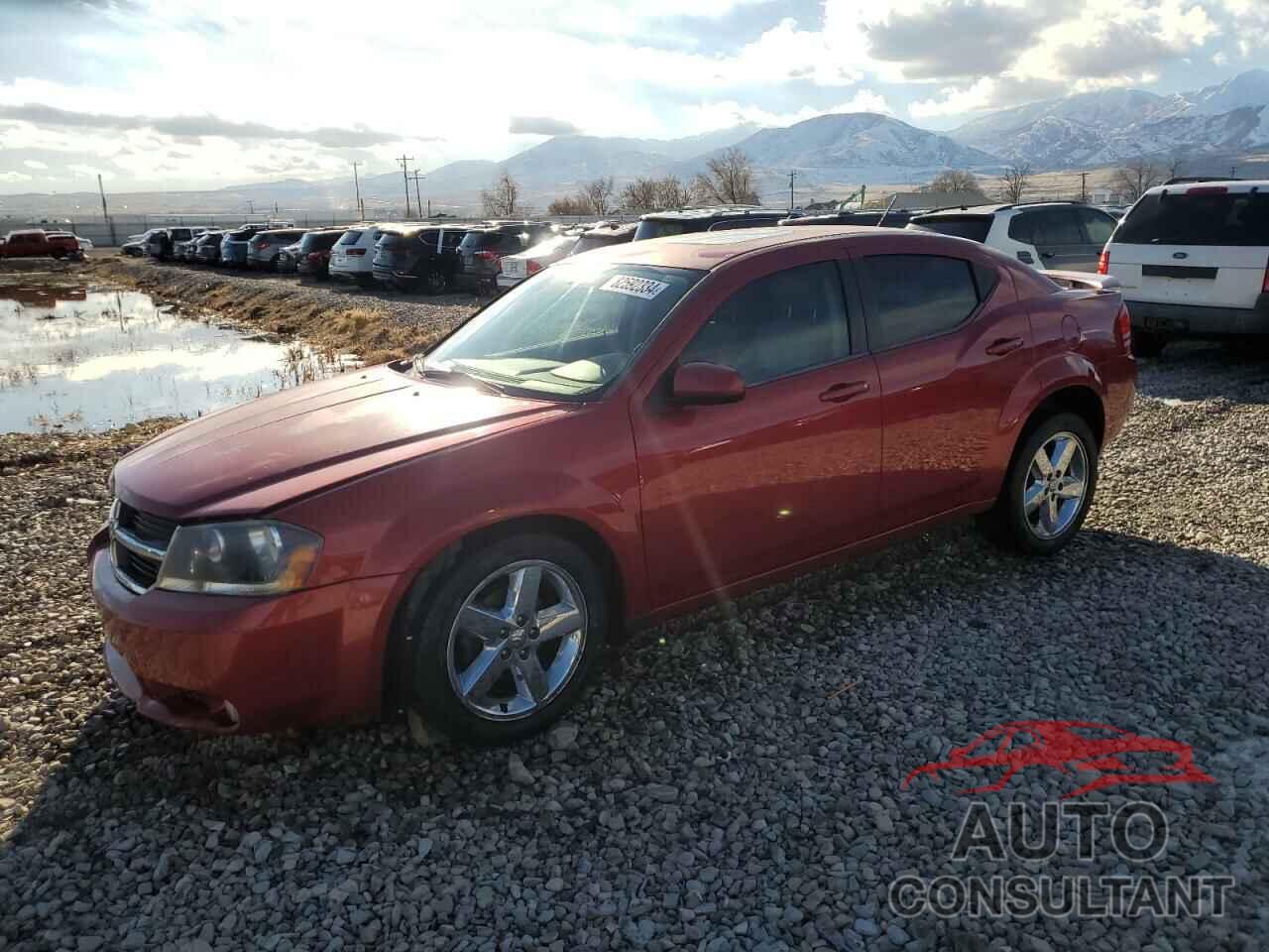 DODGE AVENGER 2009 - 1B3LC76V59N529915