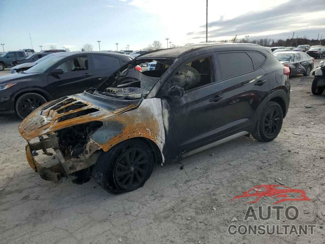 HYUNDAI TUCSON 2017 - KM8J3CA42HU365164