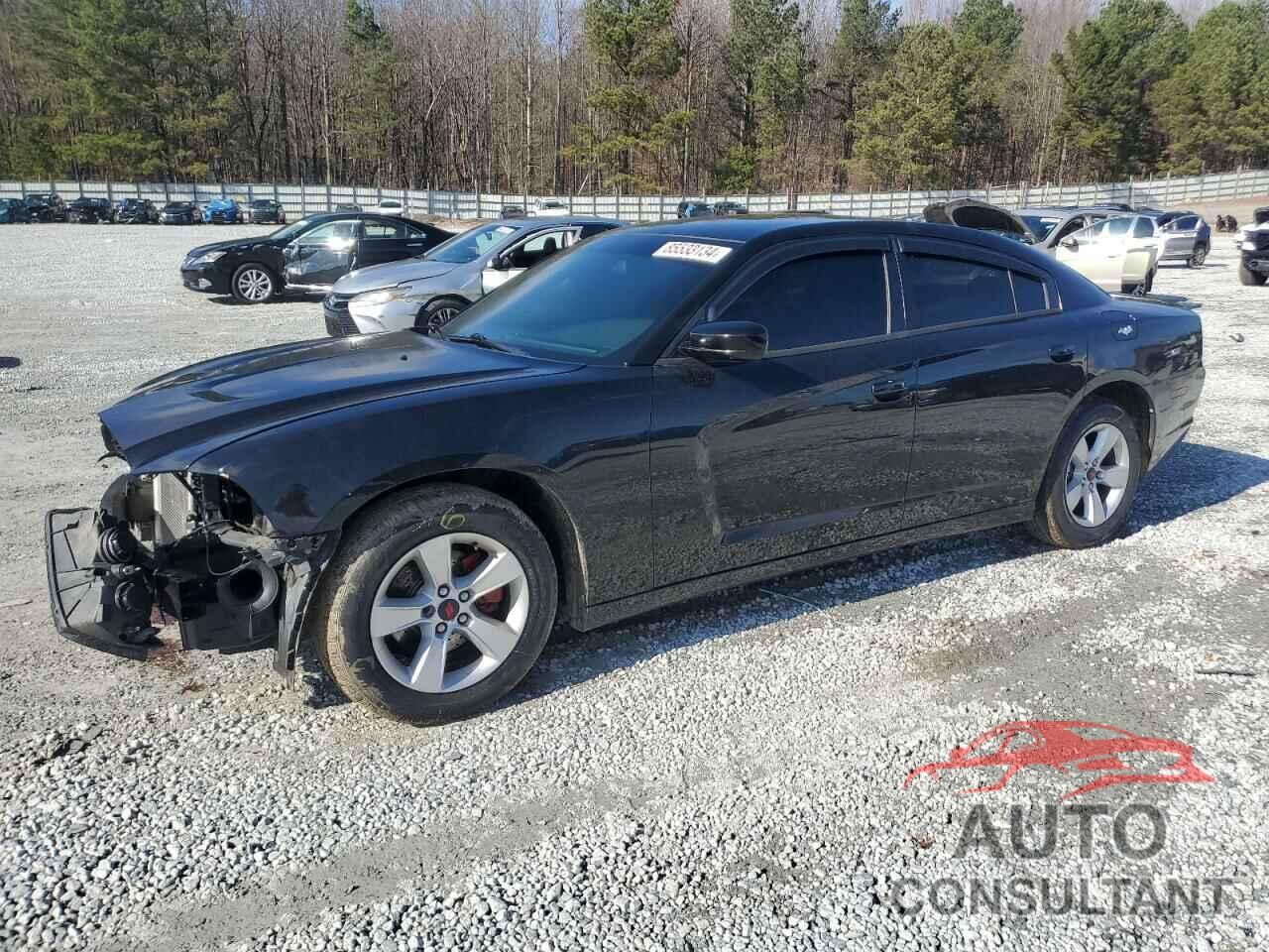 DODGE CHARGER 2014 - 2C3CDXBG2EH315197