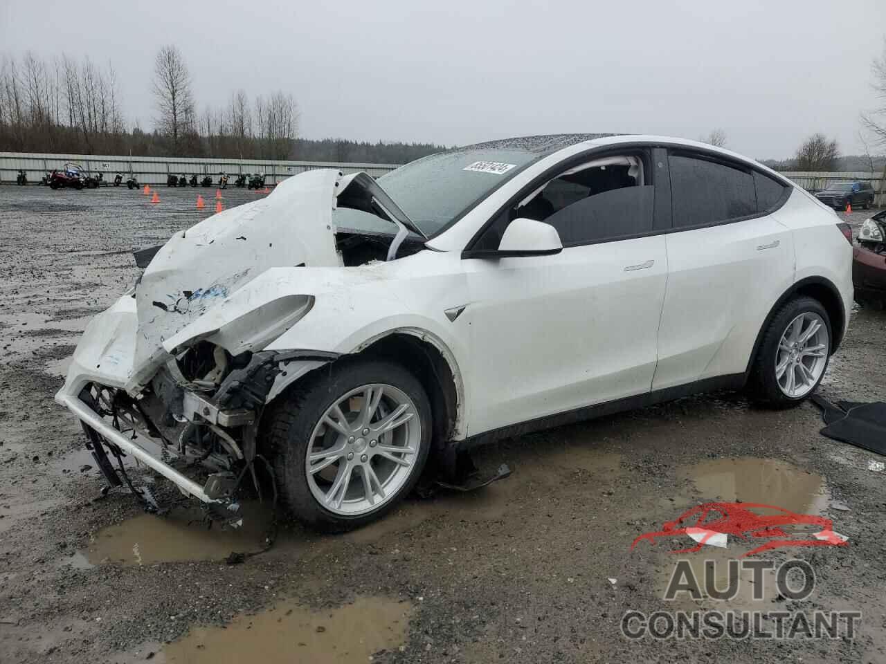 TESLA MODEL Y 2021 - 5YJYGDEE7MF246108