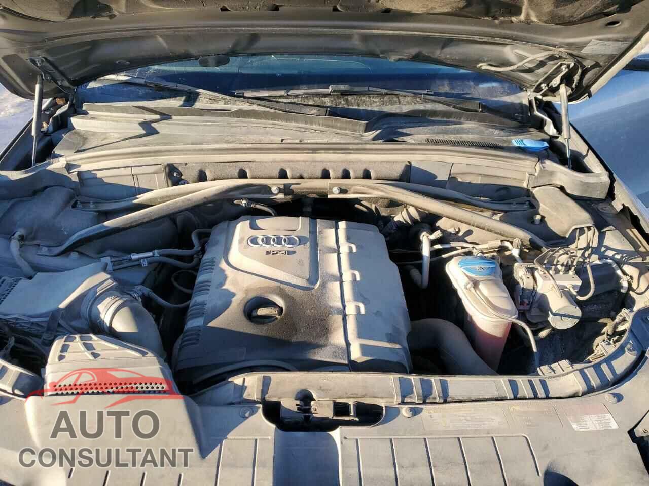 AUDI Q5 2013 - WA1LFCFP2DA063385