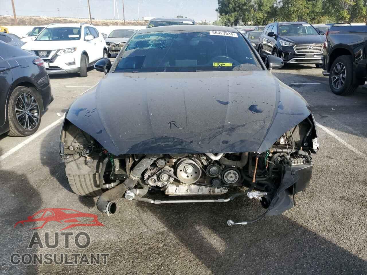 AUDI S5/RS5 2019 - WAUC4CF52KA024221